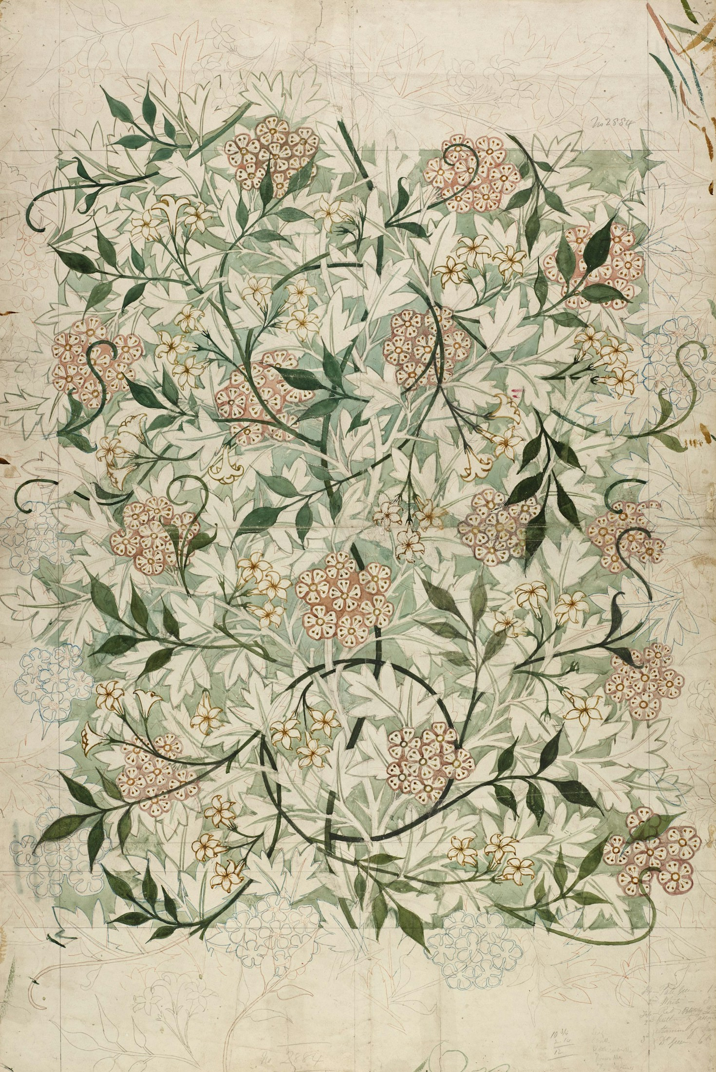 Why Botanical Products Are Essential for Modern Living